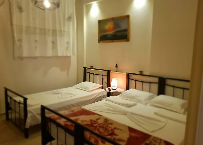 Dimitri ゲストハウス