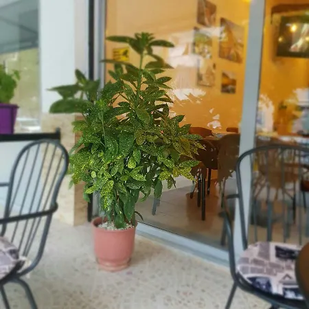 Dimitri 3* Пермети